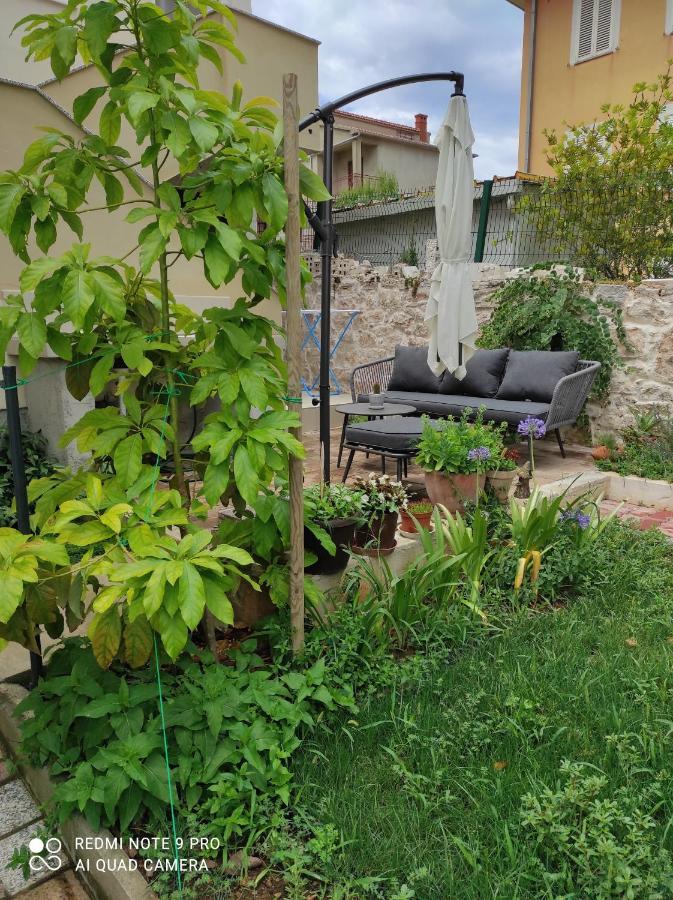 Podvrsina1A Rosa Villa Preko Luaran gambar
